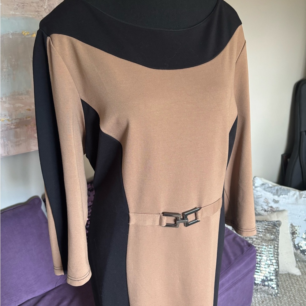 Beige and Black Sheath Dress with Decorative Buckle - Picture 2 of 12